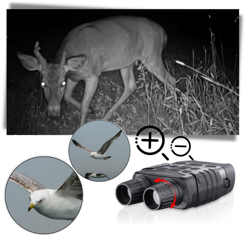 Night Vision Binoculars