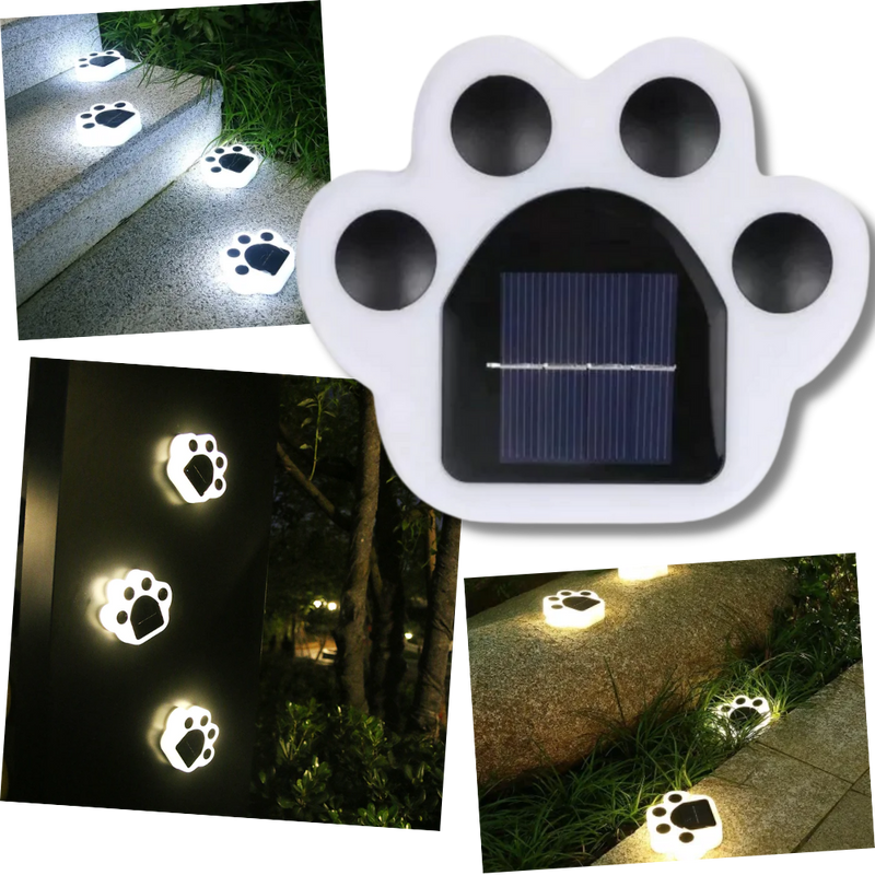 Solar-Powered Paw Print Pathway Light