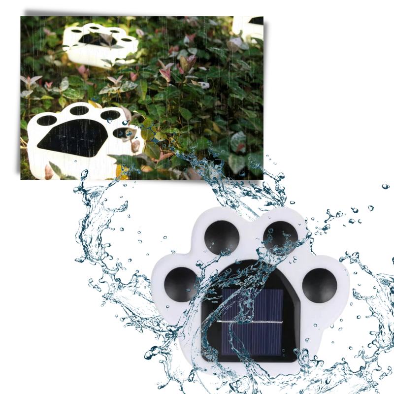 Solar-Powered Paw Print Pathway Light
