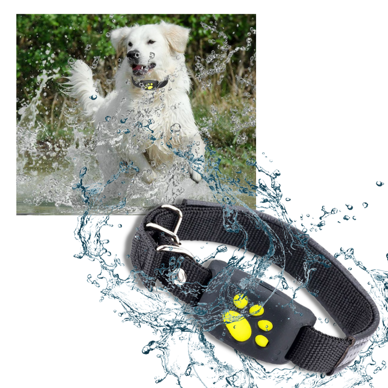 GPS Tracking Collar for Pets