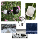 Pack of 3 Air Layering Plant Boxes