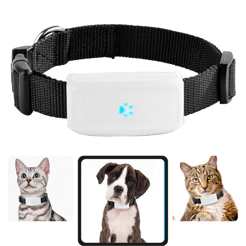 Pet GPS Tracking Collar