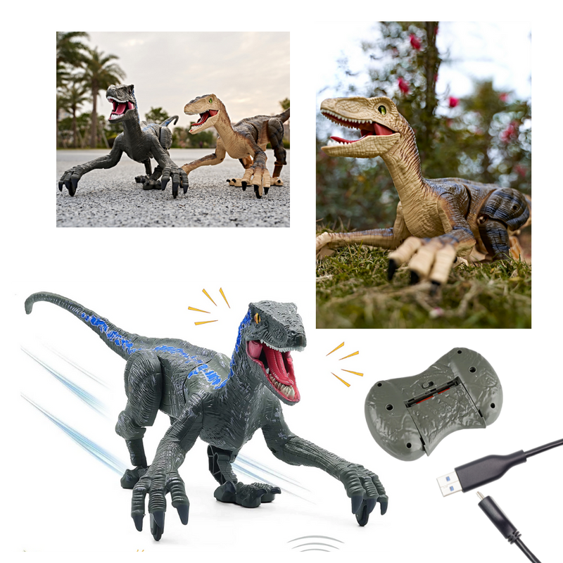 Remote Control Dinosaur Toy