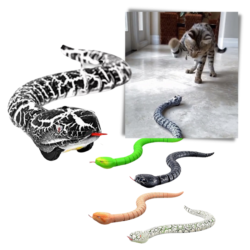 Remote control interactive snake toy for cat