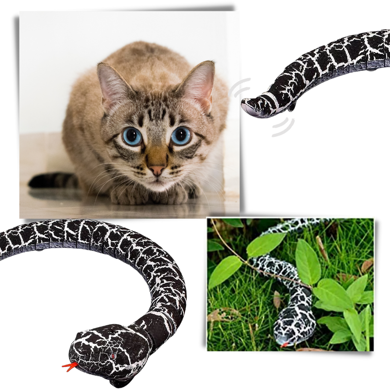 Remote control interactive snake toy for cat