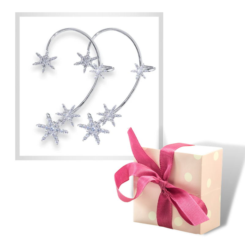 Pair of Zirconia Clip-on Fashion Earrings