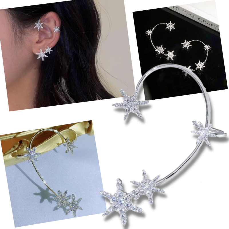 Pair of Zirconia Clip-on Fashion Earrings