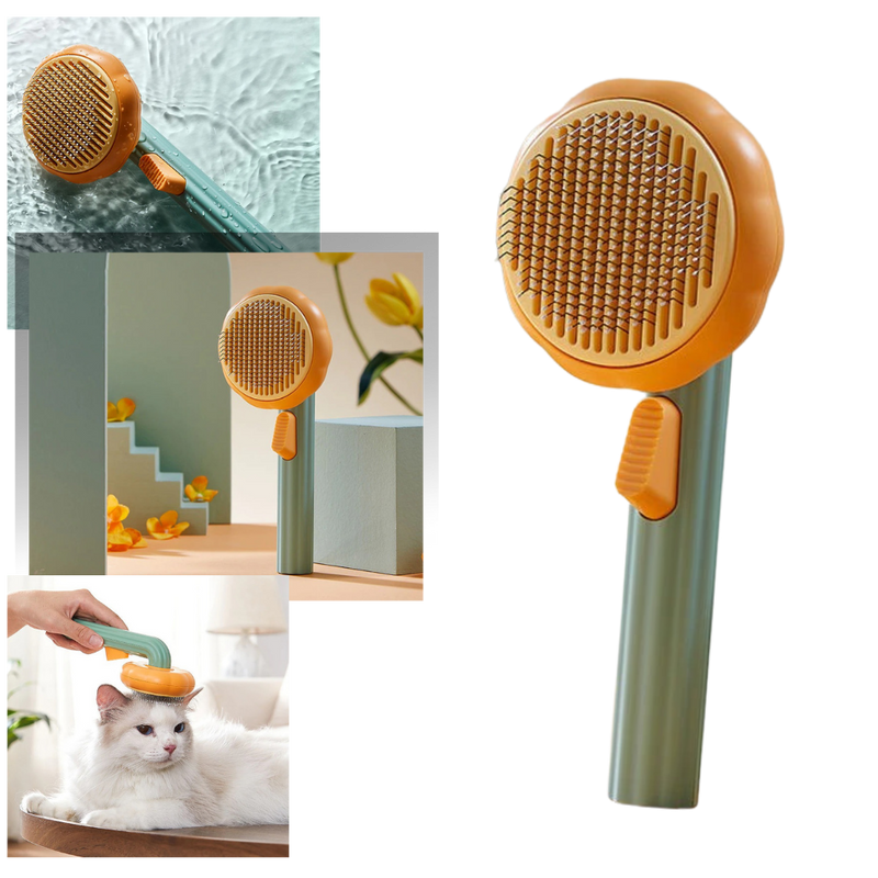 Self-cleaning pumpkin pet brush