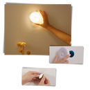 LED Light With Motion Sensor