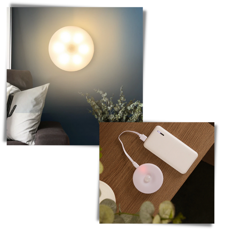 LED Light With Motion Sensor