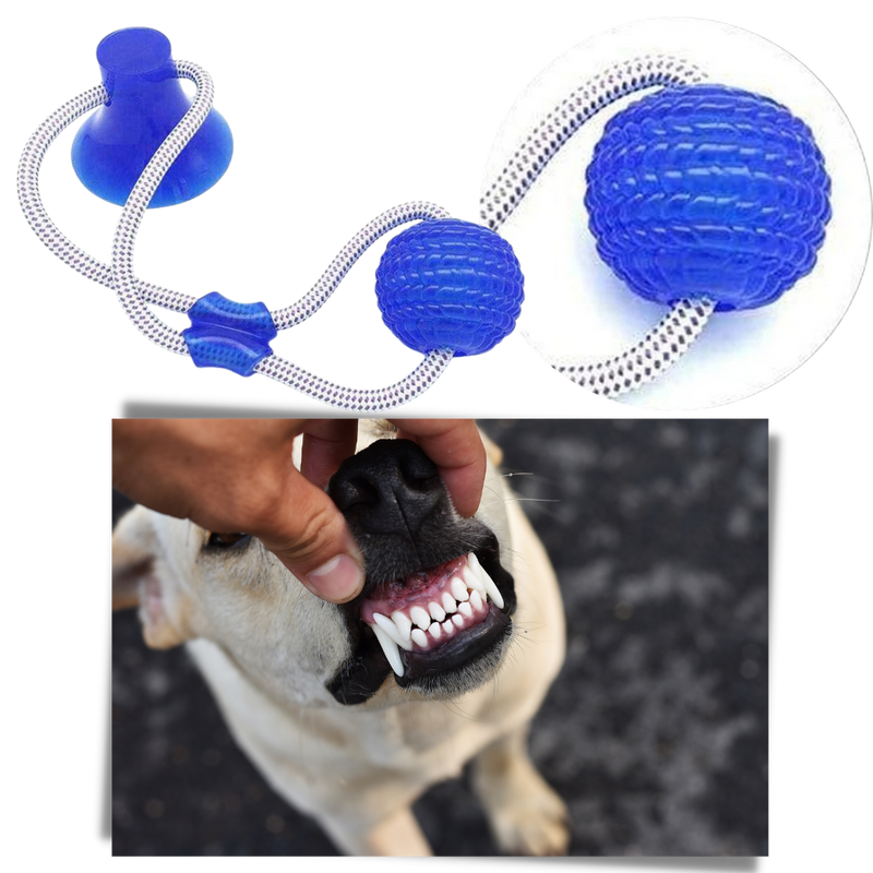 Suction Cup Dog Pull Ball Toy