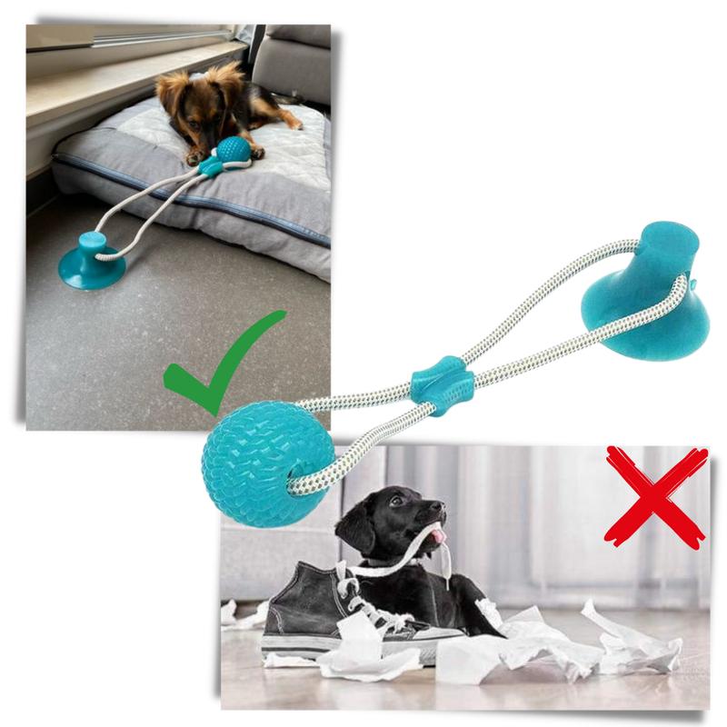 Suction Cup Dog Pull Ball Toy