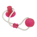 Suction Cup Dog Pull Ball Toy