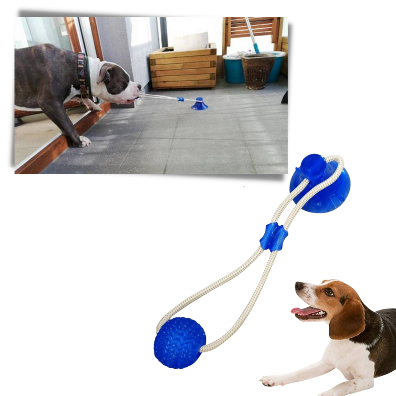 Suction Cup Dog Pull Ball Toy