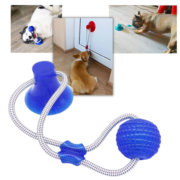 Suction Cup Dog Pull Ball Toy