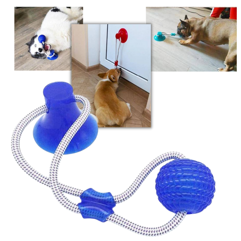 Suction Cup Dog Pull Ball Toy