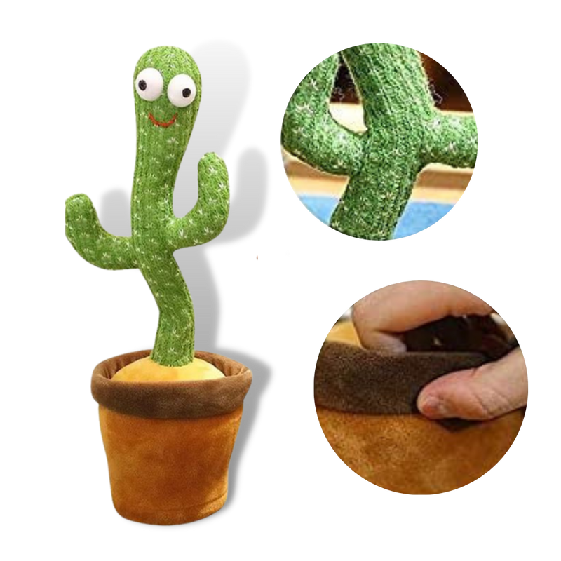 Talking Cactus Parrot