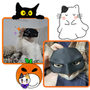 Adorable Batman Cat Mask