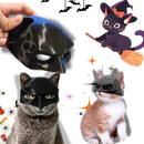 Adorable Batman Cat Mask