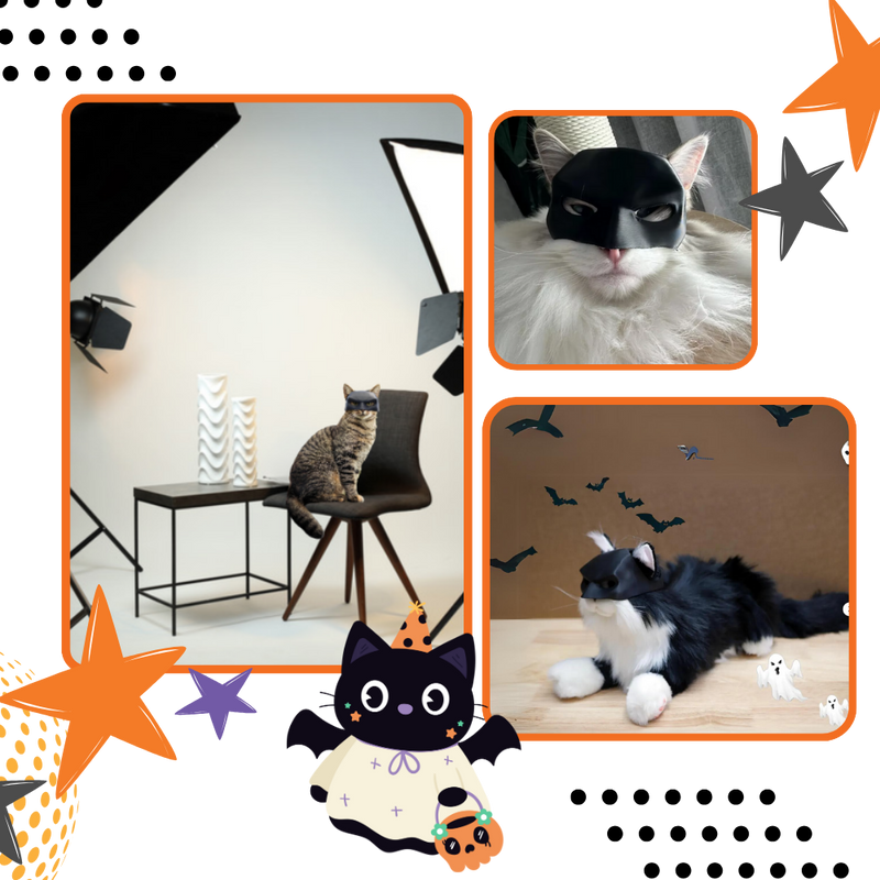 Adorable Batman Cat Mask