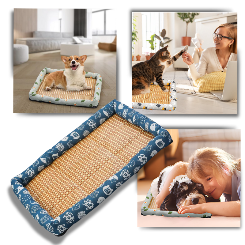 Anti-Slip Cooling Technology Pet Mat