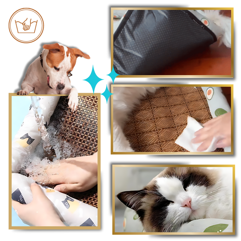 Anti-Slip Cooling Technology Pet Mat
