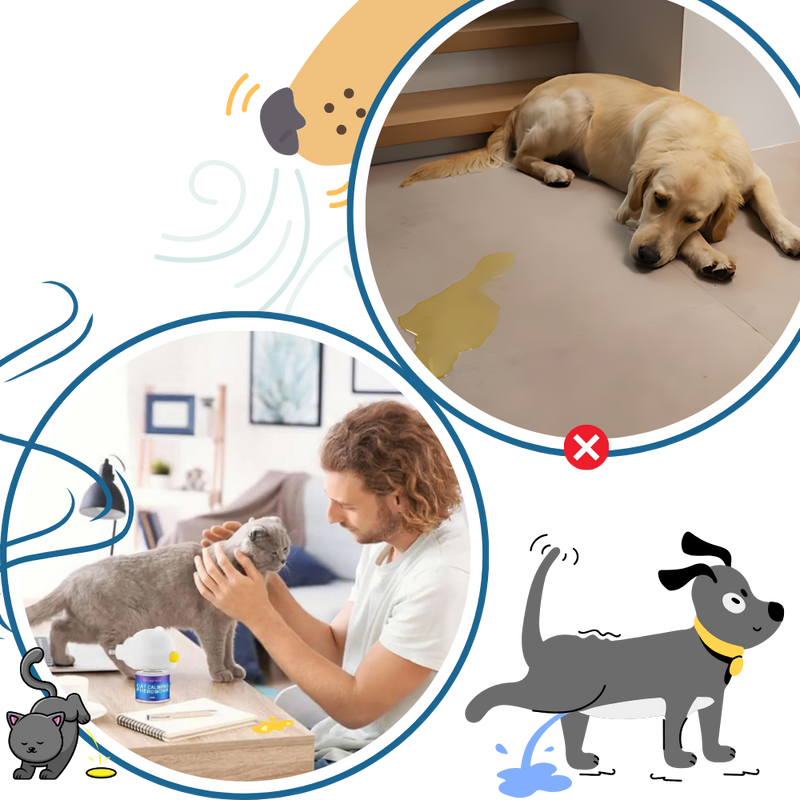 Anxiety Relief For Pets