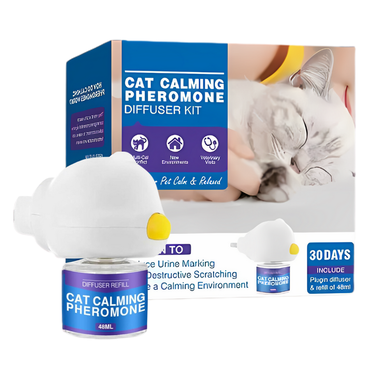 Anxiety Relief For Pets