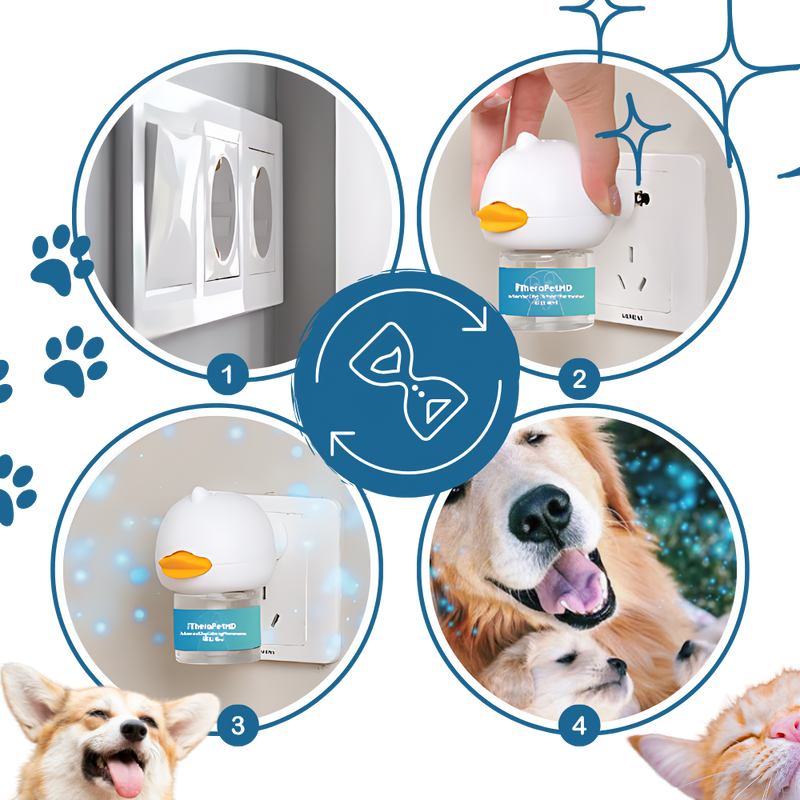 Anxiety Relief For Pets