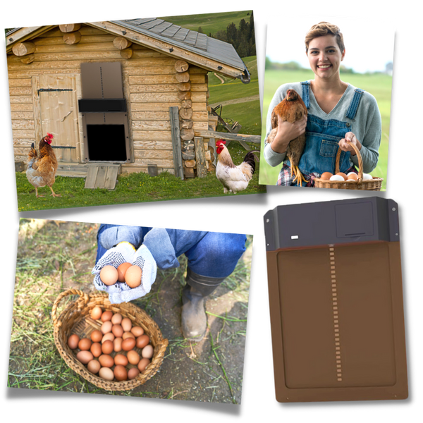 Automatic Chicken Coop Door