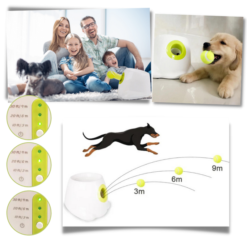 Automatic Dog Ball Launcher
