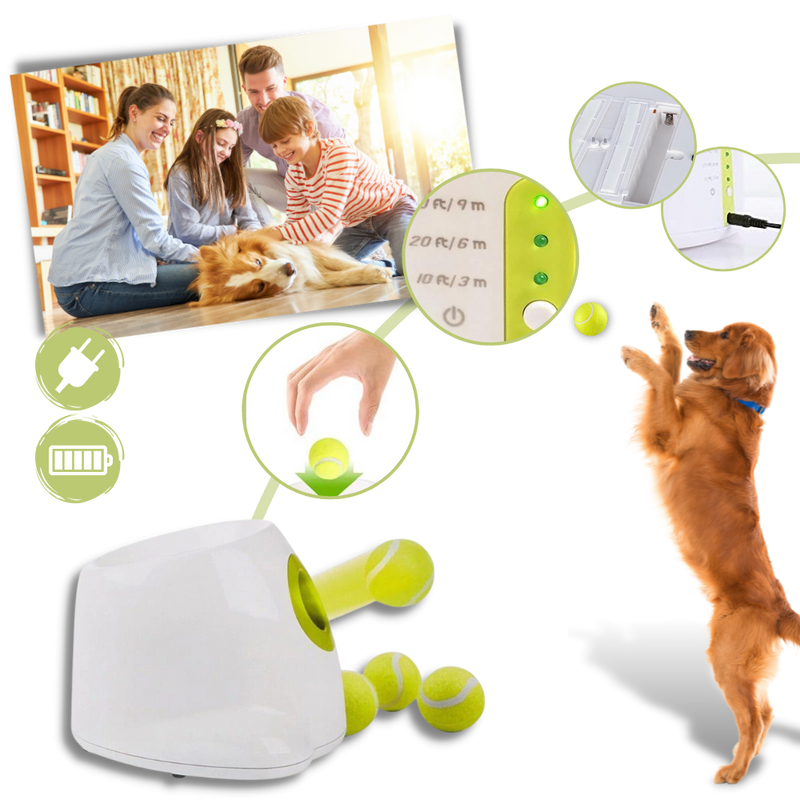Automatic Dog Ball Launcher