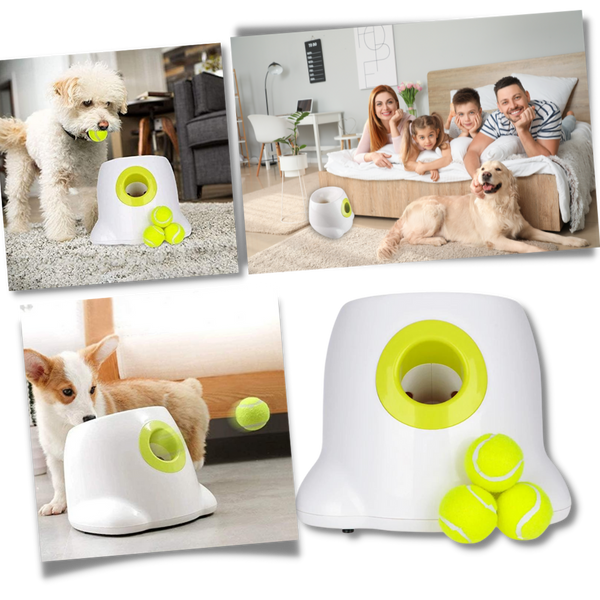 Automatic Dog Ball Launcher