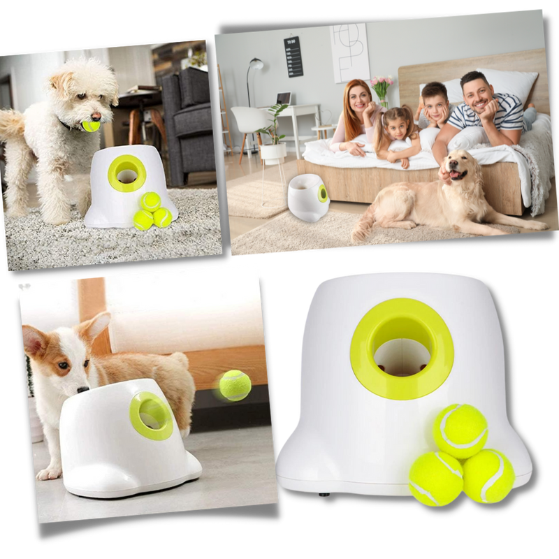 Automatic Dog Ball Launcher