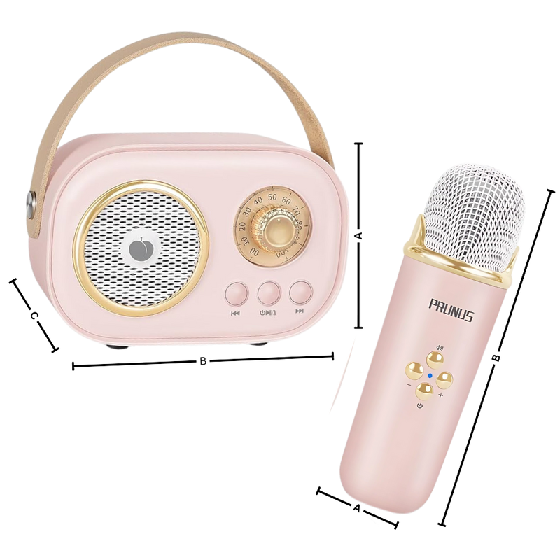 Bluetooth Dual Mic Kids Mini Karaoke