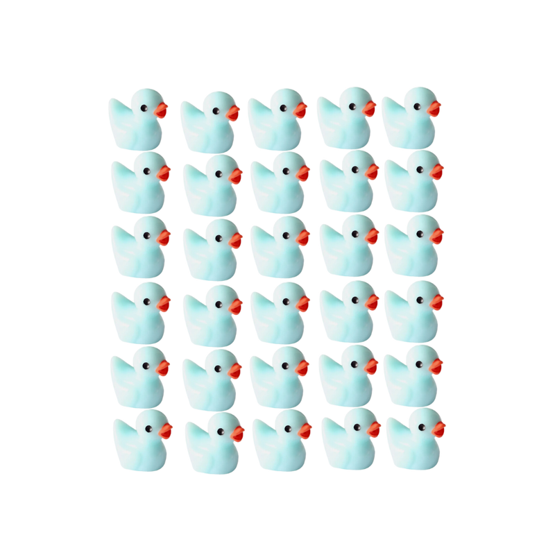 Cute Duck Challenge Toy