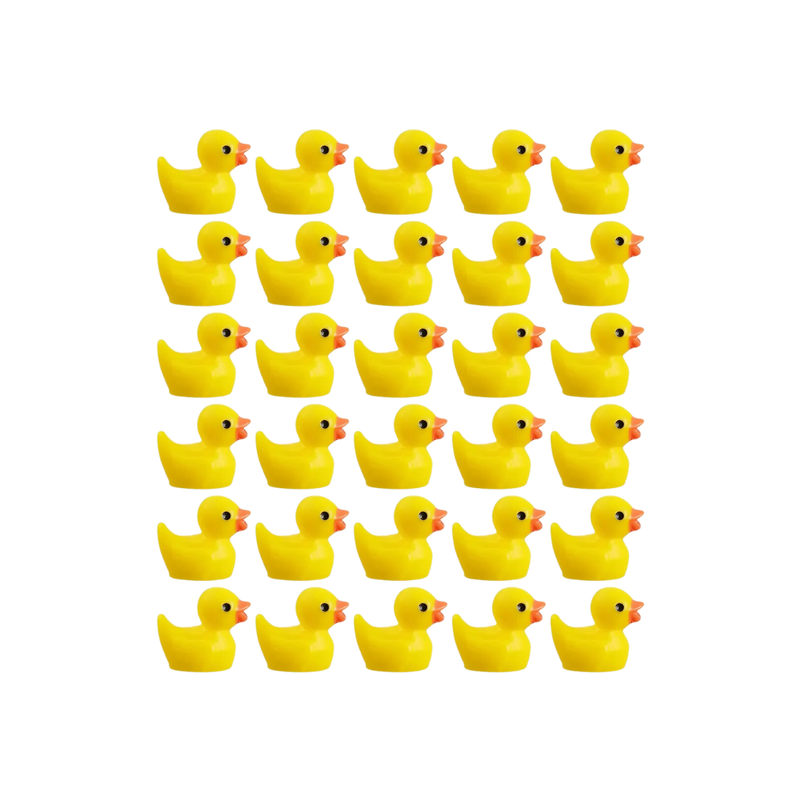 Cute Duck Challenge Toy