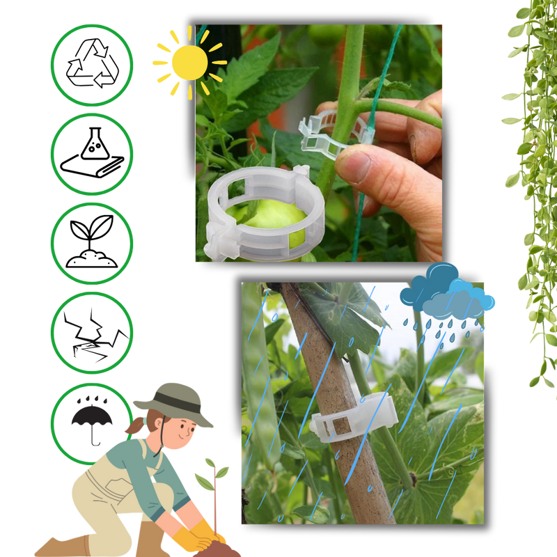 Easy Clip-On Plant Support