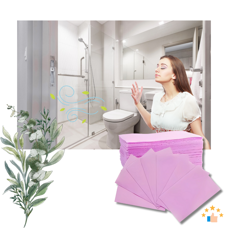 Eco Clean Toilet Sheets