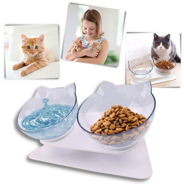 Elevated Comfort Bowl for Cats