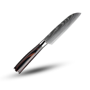 Pakka Wood Japanese Knife