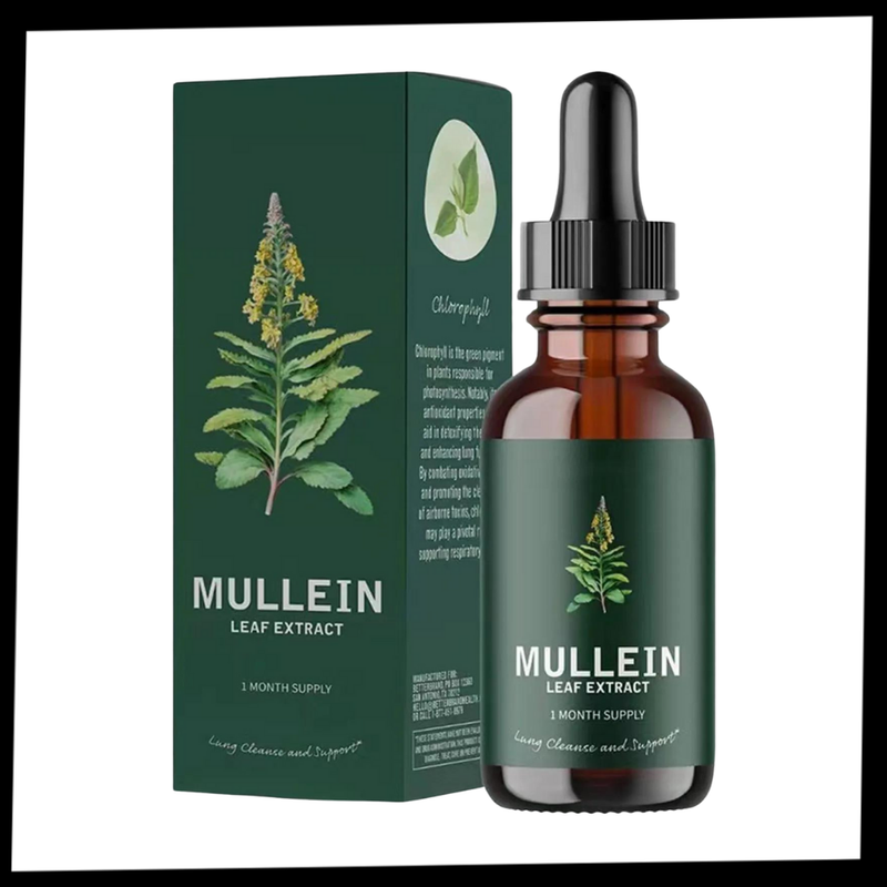 Gluten Free Mullein For Lung Health
