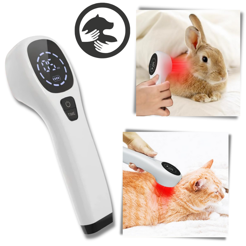 Handheld Infrared Therapy Device for Pet