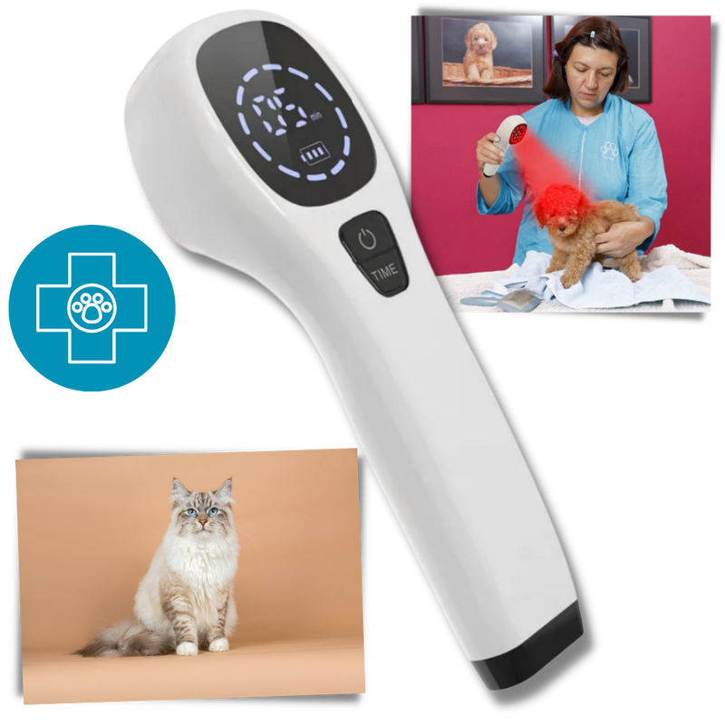 Handheld Infrared Therapy Device for Pet