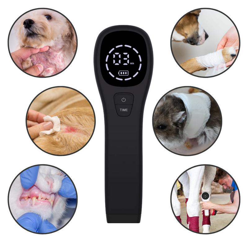 Handheld Infrared Therapy Device for Pet