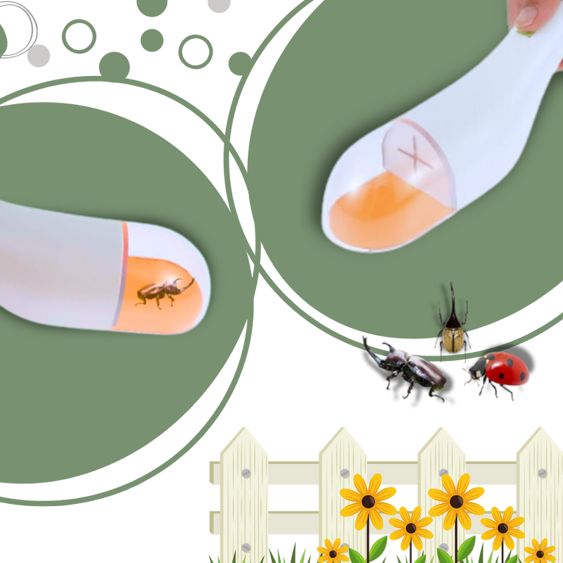 HD Viewing Insect Trap