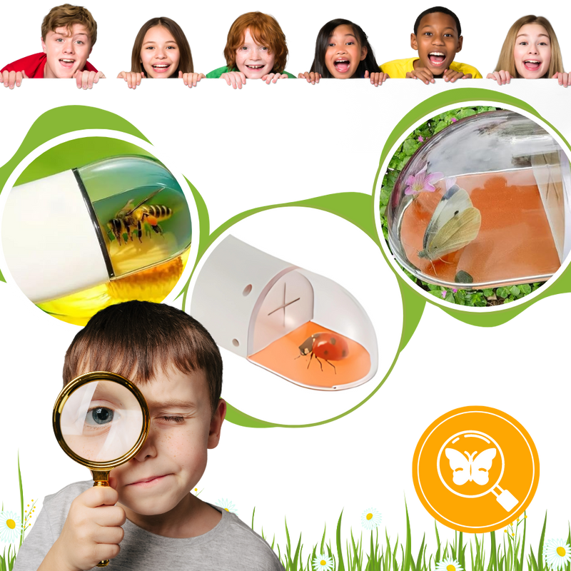 HD Viewing Insect Trap