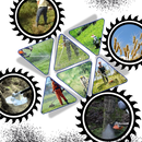 High RPM Steel Trimmer Head