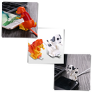 Humping Dog Fast Charger Cable