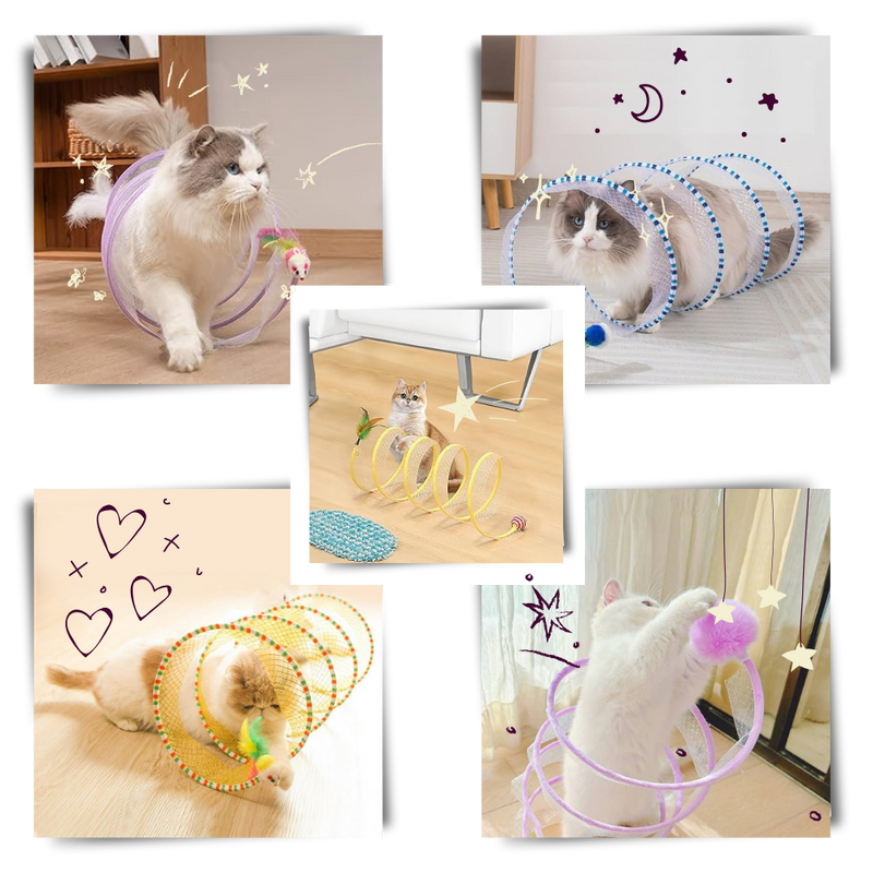 Interactive Compact Cat Tunnel